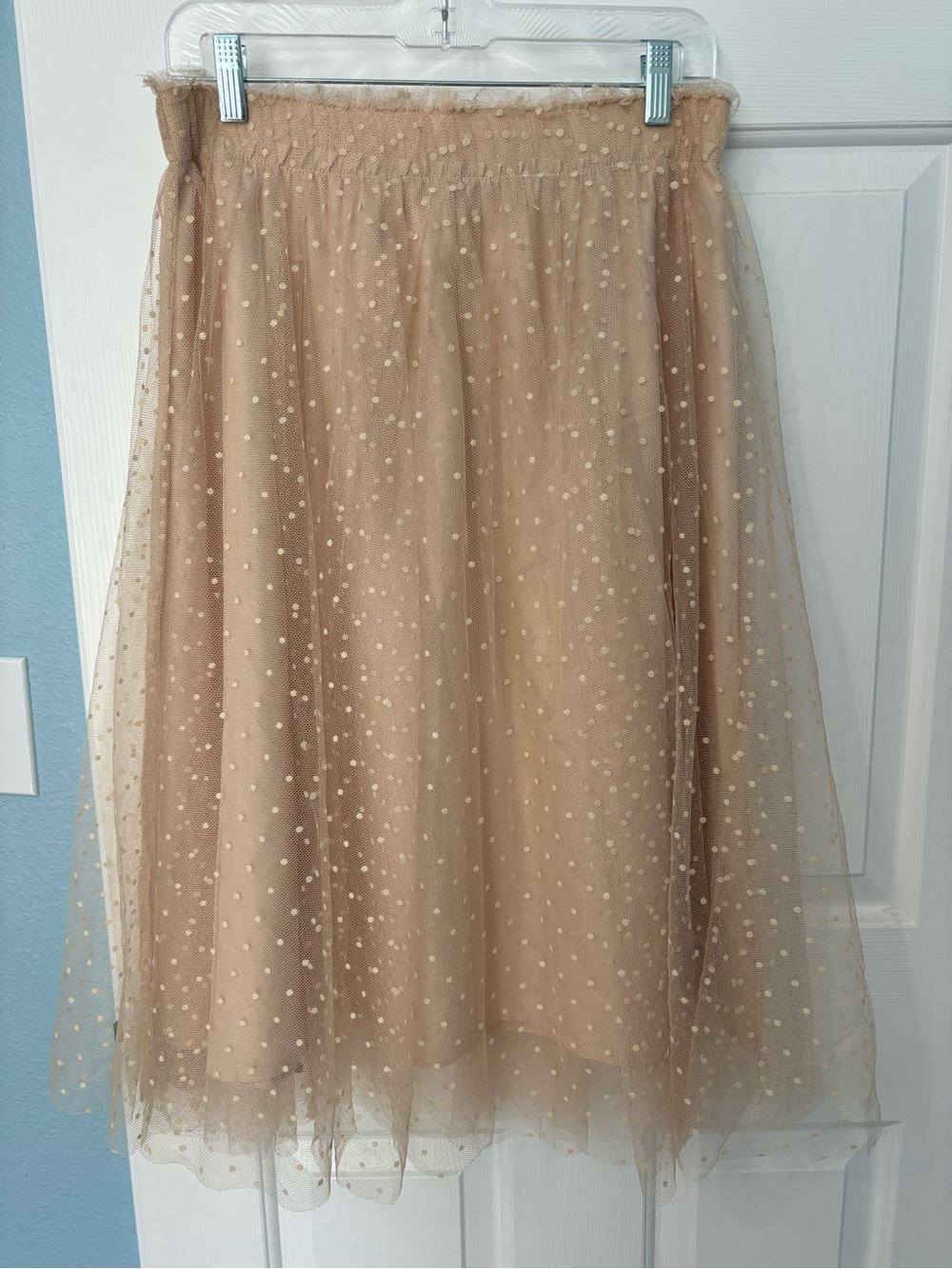 Tulle Polka Dot Midi Skirt